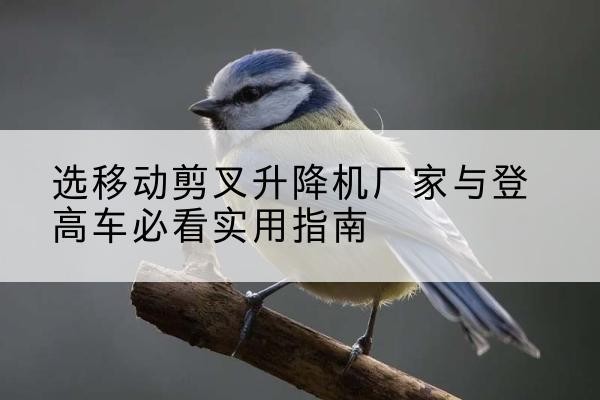 山西电动升降机厂家-选移动剪叉升降机厂家与登高车必看实用指南