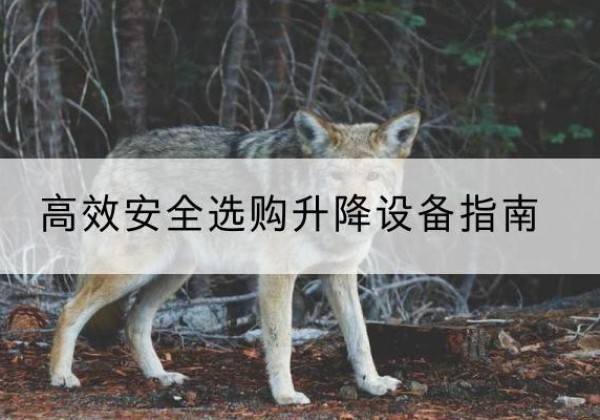 山西升降货梯厂家推荐-*安全选购升降设备指南